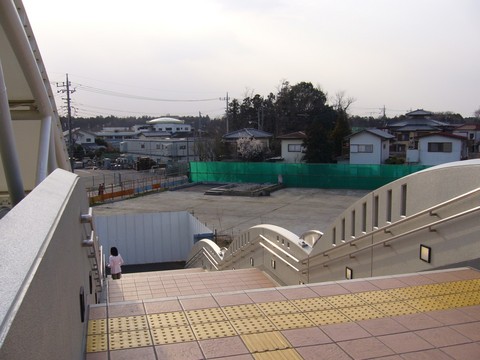 20060401_txmori-1.jpg